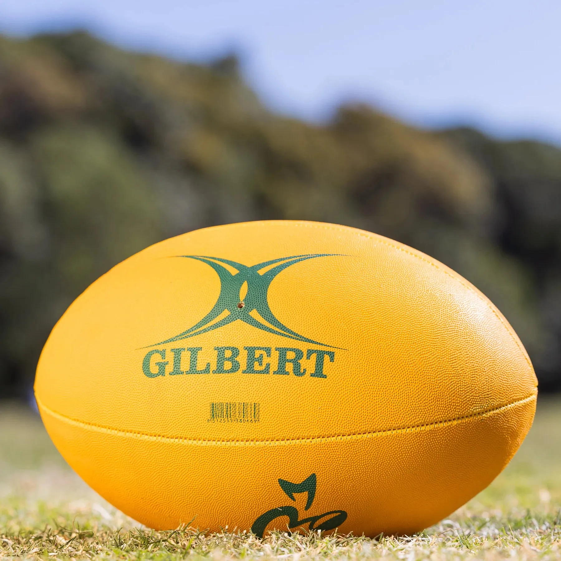 Gilbert Wallabies Supporter Football