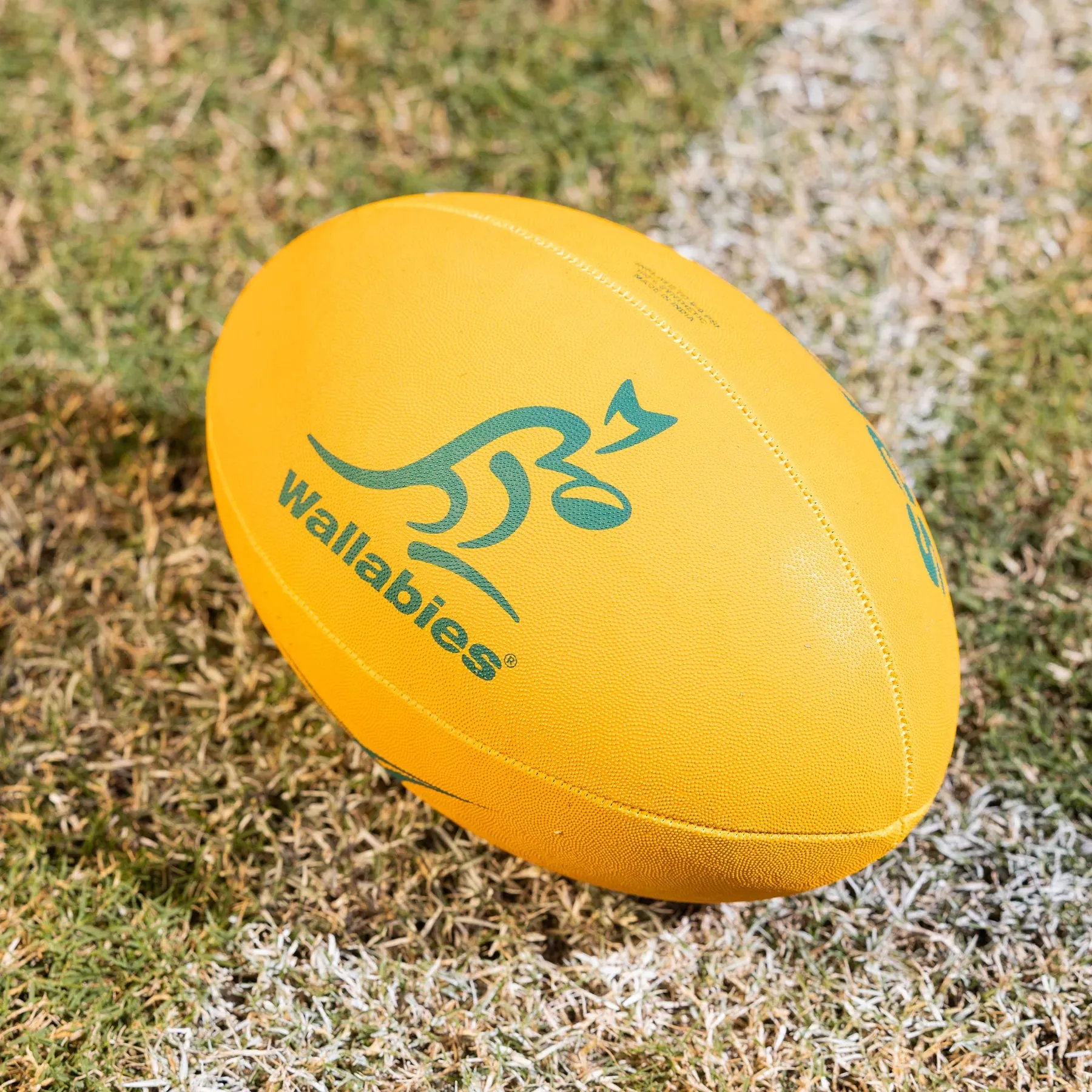 Gilbert Wallabies Supporter Football