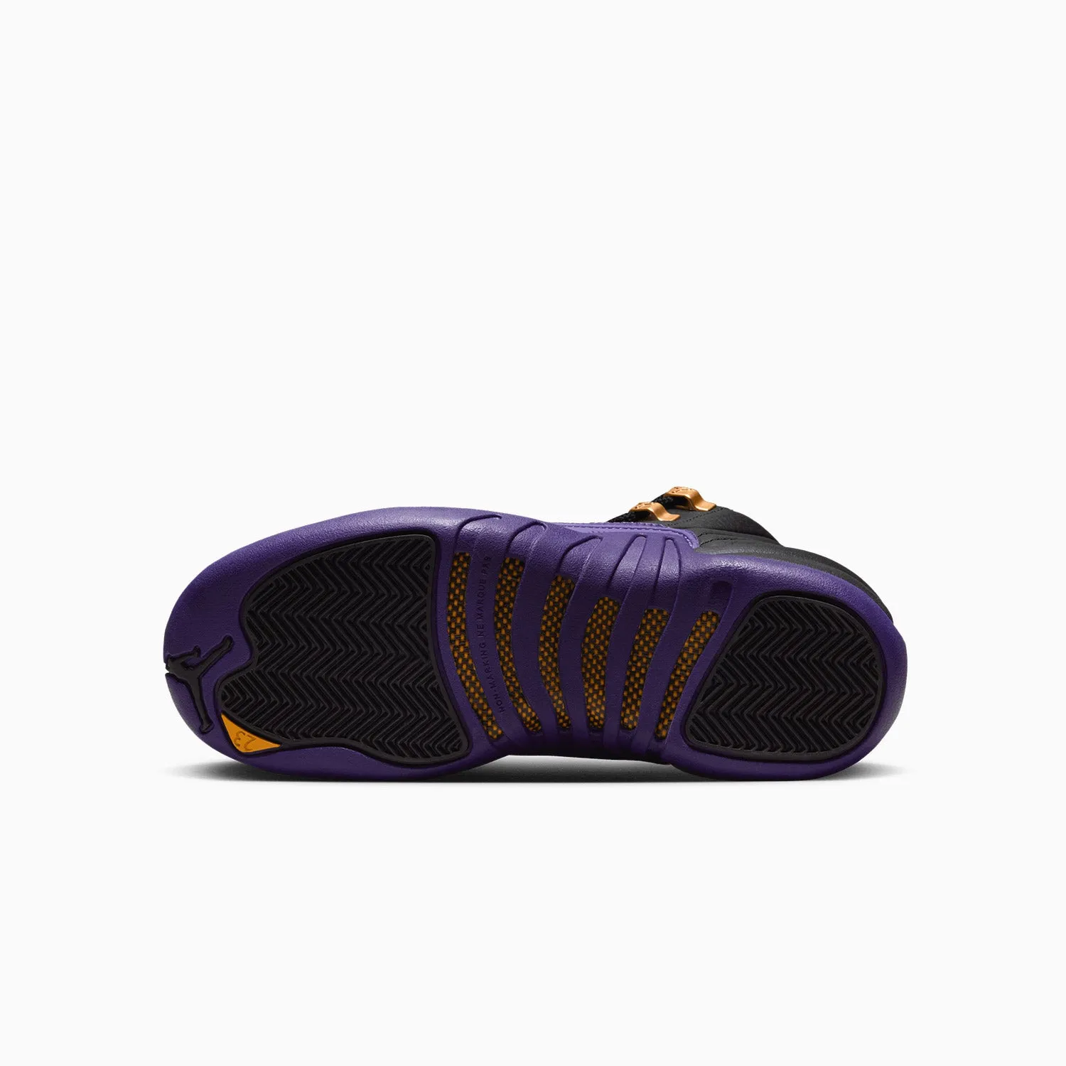 Kid's Air Jordan 12 Retro "Field Purple" Grade School